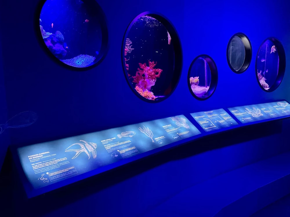 Musée Océanographique de Monaco