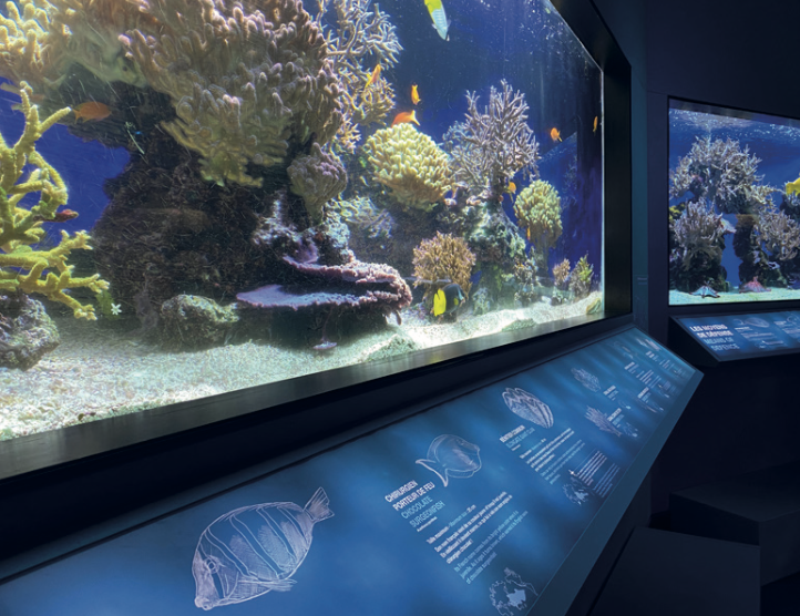 Musée Océanographique de Monaco